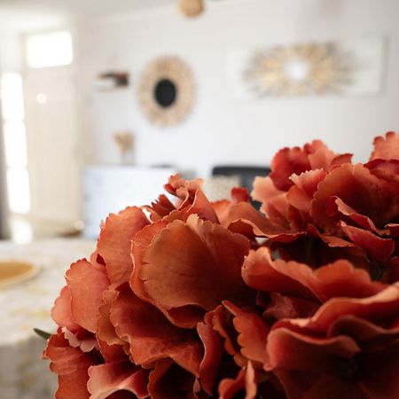 Appartment Greta,กอสตา เดล ซิเลนซิโอ ภายนอก รูปภาพ